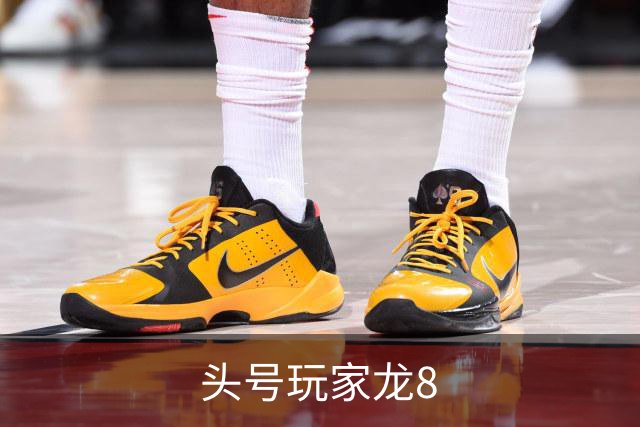 头号玩家龙8公司简介图